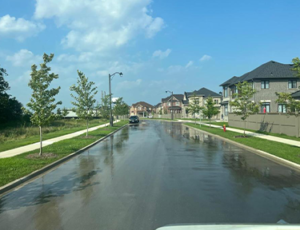 Sky Environment ( Road Sweeper) photo 7